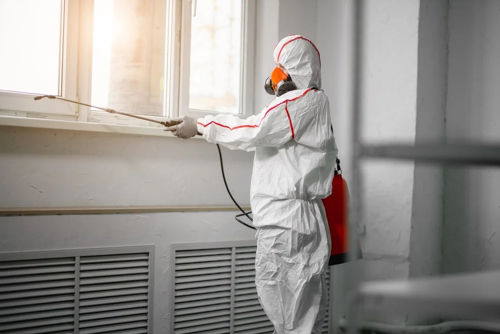 Professional mold remediation services in Inver Grove Heights, MN